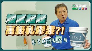 2023建材展  水性真好漆介紹   ｜家俱改色｜水性環保｜高質感乳膠漆｜色彩多樣｜