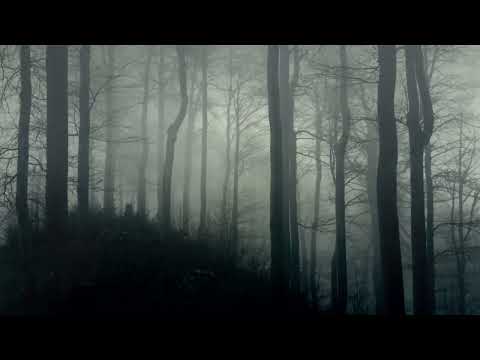 Dark Ambient Horror Background Music [10 Hours] Stream Safe