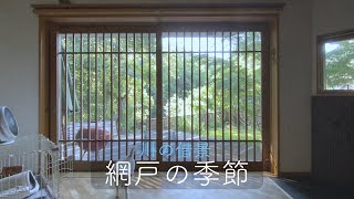 【川の借景 網戸の季節】家づくりその後