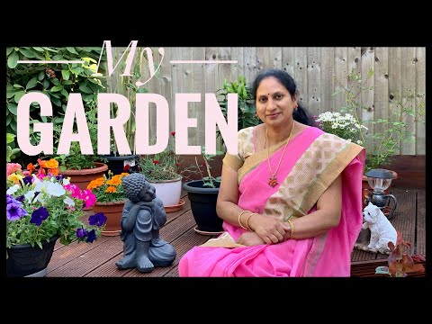 My Garden|My Garden Tour in Summer|Garden Vlog|Surekha Telugu Vlogs from London|Telugu Vlogs