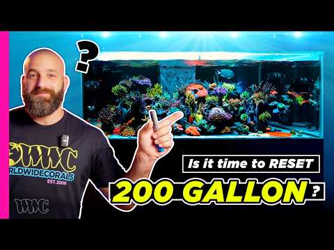 Exploring the World Wide Corals Winter Park 200-Gallon Tank | Changes Ahead?