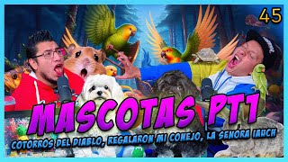 LA PENSIÓN #45 | MASCOTAS PT1 - Pájaros y Hamsters Acz1nos, Regalaron mis animales, Peces del Crew