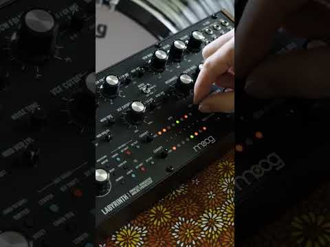 Experimenting With The Moog Labyrinth!