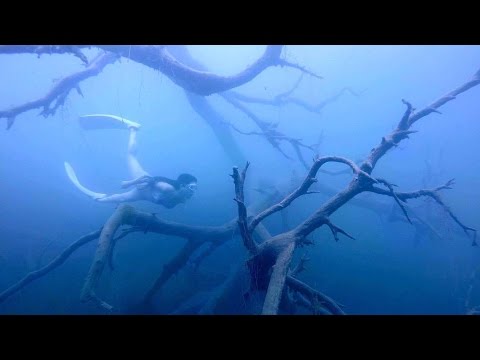 Freediving -  Haunted Mansion, August 2016, Lake Motosu