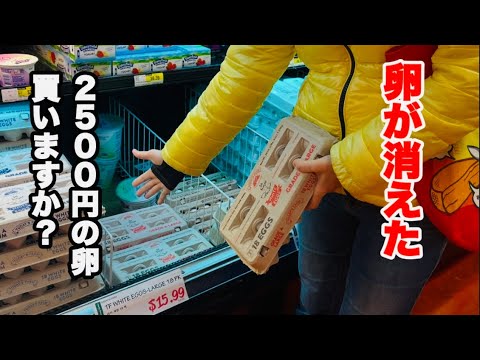 【物価高騰】卵１パック2500円のアメリカの現実‼︎買う？買わない？H MART & TRADER JOE'S