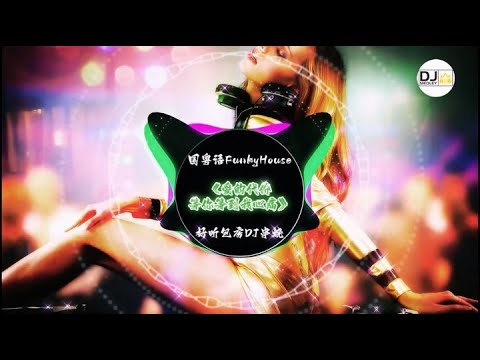 国粤语FunkyHouse,《爱的代价+等你等到我心痛》,好听包房DJ串烧！