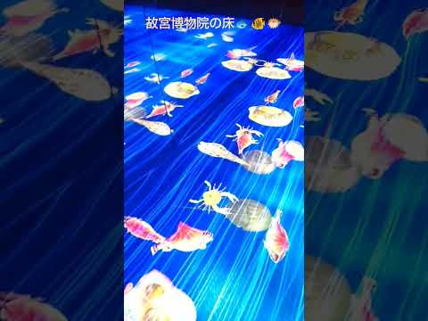 故宮博物院の床🐟🐠🐡