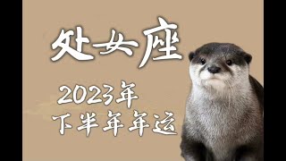 处女座♍️2023年下半年星座运势｜平静期