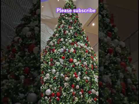 #ytshorts #shorts #christmas #usa #mall #christmastree #indiafeed  #southparkmall #india #newyear