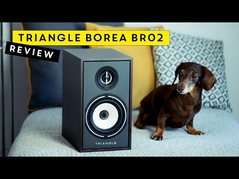 Triangle BOREA BR02 REVIEW - Great value, super sound!