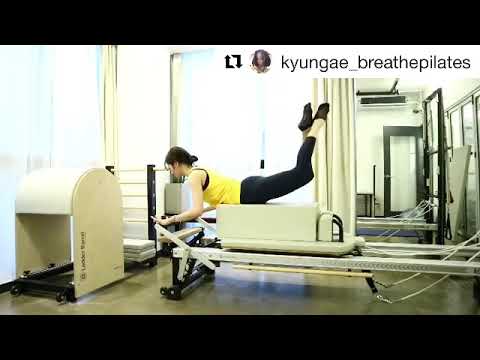 [청담필라테스] 국제필라테스 / 캐나다필라테스 / 스탓필라테스 (STOTT PILATES)