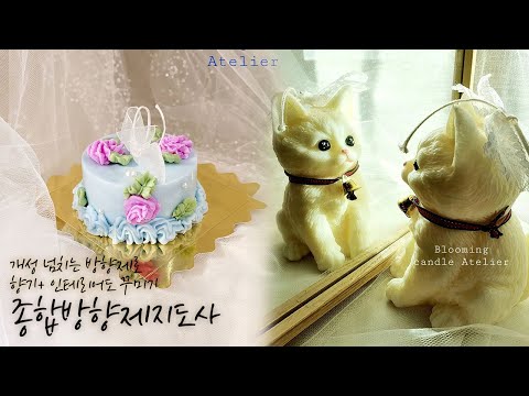 #shorts [종합방향제지도사] 퀄리티 높은 종합방향제