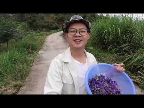 葛根花茶虽好，并不适合所有人，不贪杯的人最好别喝它