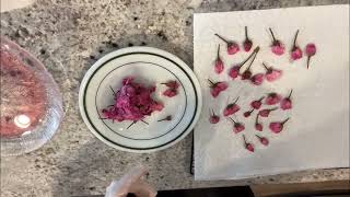 🌸桜の塩漬けの作り方/Pickled Cherry Blossom Recipe 🌸