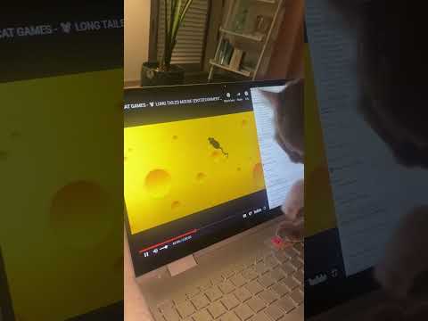 Cute Cat Tries Catching Mouse On Computer Screen