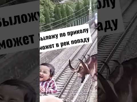 Хз что писать