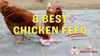 8 Best Chicken Feeds in 2021 - The Poultry Feed