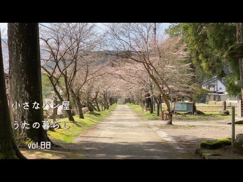 【暮らしvlog 88】桜が咲き始めた明建神社の桜並木と駅前散歩