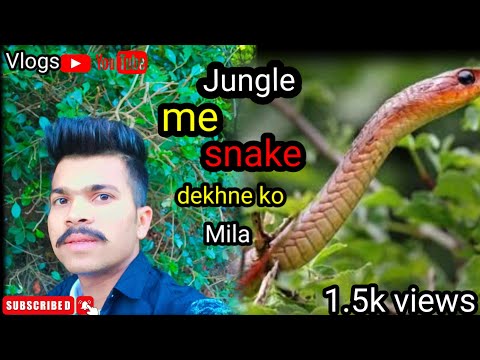 jungle runnin snake snake saampdekhne Ko Mila #2023 #new #viral #vlog #vidio #kishan digital vlogs #