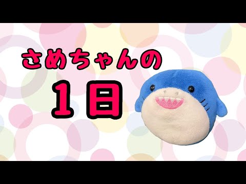 【さめちゃん】さめちゃんの１日【コマ撮り】