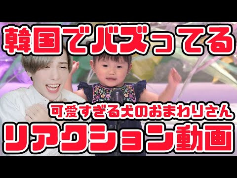 【童謡】可愛すぎるwww2歳の犬のおまわりさんとどんぐりころころ【リアクション動画】#일본동요대회​