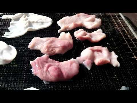 怪しい干物作り【2024年10月12日】