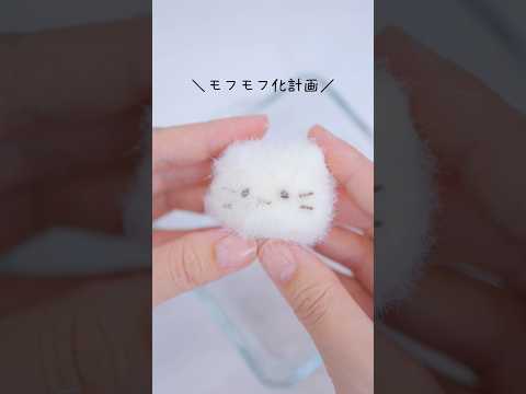 まるでおもちみたいなねこちゃんをモフモフにする