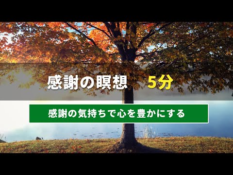 感謝の瞑想 | 5分 | 感謝の気持ちで心を豊かにする