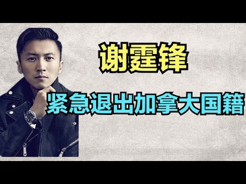 谢霆锋紧急退出外国籍，称本来就是中国人！李连杰曾百亿求救无果