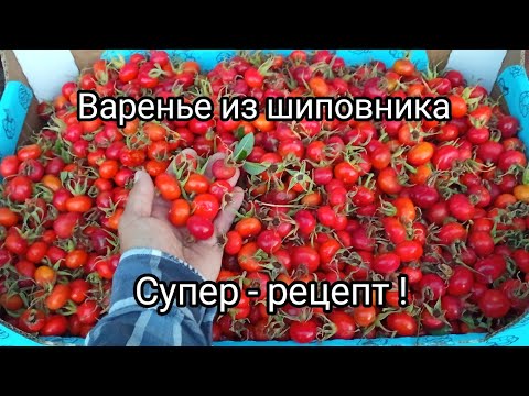 Варенье из шиповника. Супер - рецепт /12 сентября 2024 г.