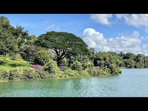 01- lifestyle -00082- MacRitchie Reservoir最靚水塘! Singapore Top 20 Weekend Activities!  新加坡首20位最佳週末活動