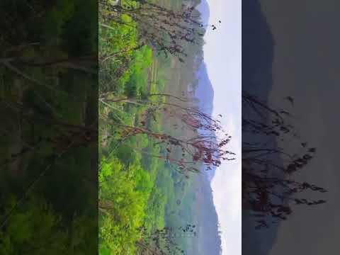 Mountain view Karnpryag road #creativelifesdvlogs #nature #travel #trending