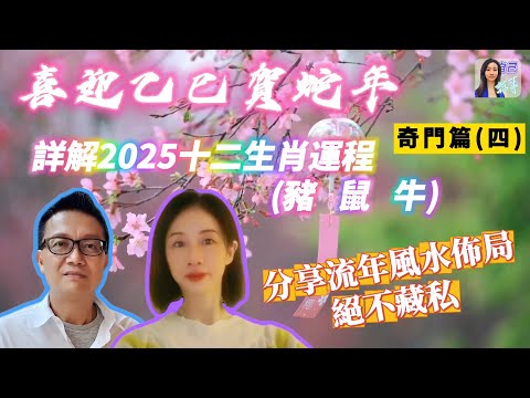 【粵語中字】解構2025乙巳年豬鼠牛生肖運程 | EP0072 20241119 #自己話事 #阿娜 #李sir玄宇宙學園 #喜迎乙巳賀蛇年 #奇門命盤 #奇門風水 #幾何立極法 #乙巳年十二生肖運程