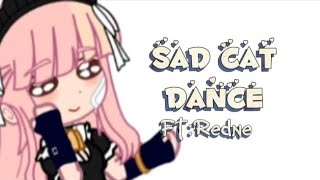 Sad cat Dance/Meme\Not Og‼️