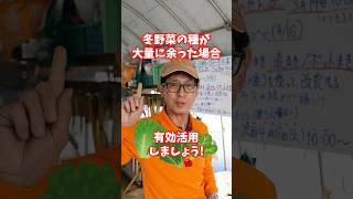 家庭菜園や農園で冬野菜のタネが余ったらやってみたい！タネを有効活用するコツをご紹介！【農園ライフ】#shorts