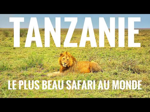 SAFARI EN TANZANIE 🇹🇿 (et Kilimanjaro, randonnées, écoles)