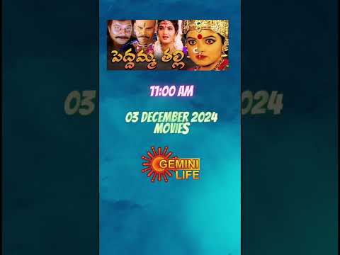 03 december 2024 tv lo Vache cinemalu #gemini  #etvplus  #etv  #geminilife