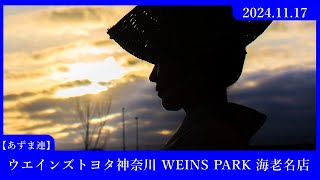 ウエインズトヨタ神奈川 WEINS PARK 海⽼名店