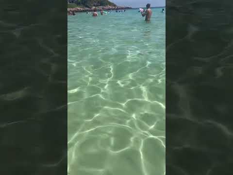 🏝️ Clear  water in Cala Agulla 🏝️Mallorca 🏝️ #clearwater #mallorca #calaagulla