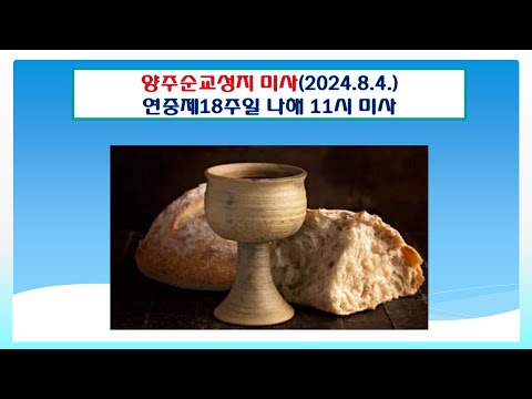 양주순교성지 미사(연중18주일 나해 11시 미사 2024.8.4.)