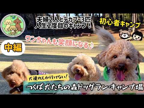 犬連れキャンプ！【つくば犬たちの森ドッグランキャンプ場 】へ行って来ました♪巨大ドッグラン最高でした！