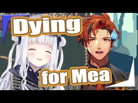 Roberu would die for Mea, Mea would let him【Holostars EngSub】