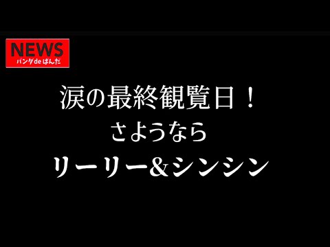 【上野パンダ】震災を乗り越えたパンダ！リーリー＆シンシン、別れの瞬間