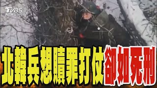 北韓兵死得不明不白 想將功贖罪卻如判死刑｜TVBS新聞 @TVBSNEWS01