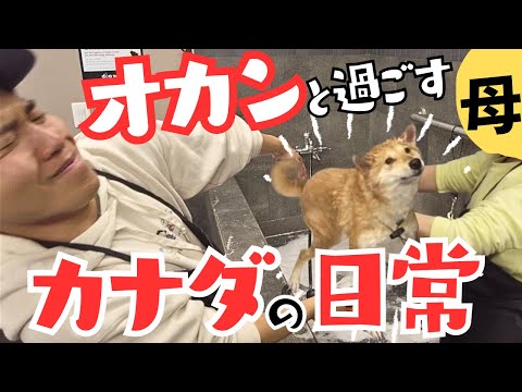 【日常】バンクーバーでもオカンが居れば、そこは大阪。