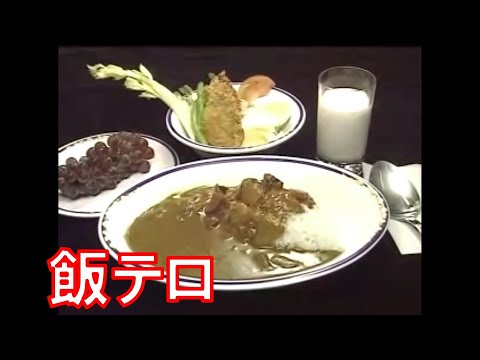 【飯テロ】自衛隊カレー