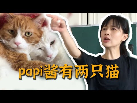 三联采访papi酱：papi家有两只猫