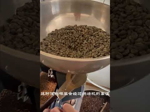 家庭咖啡馆｜咖啡豆烘焙❗️从生豆到熟豆☕