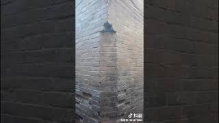 建築設計-拐彎抹角的由來