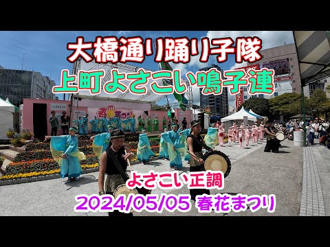 大橋通り踊り子隊＆上町よさこい鳴子連　よさこい正調　2024/05/05　こうち春花まつり(4K)